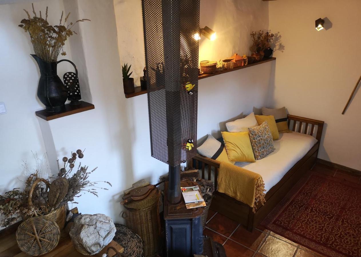 Toca Do Esquilo - Montesinho Villa Montezinho Eksteriør billede